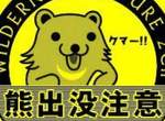 恐怖《森林碰到熊》在一個月內達成900萬點擊、俄羅斯的驚險影片 恐怖《森林碰到熊》在一個月內達成900萬點擊、俄羅斯的驚險影片