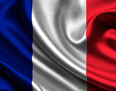 2014上半年《法國最暢銷車車TOP 10》怎麼全都是......