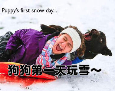 《各種動物的初體驗》討厭～人家是第一次嘛（羞）