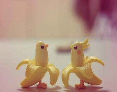 愛鳥家必見的《鸚鵡扭蛋》陸續登場　敲～可愛好玩又實用（？）