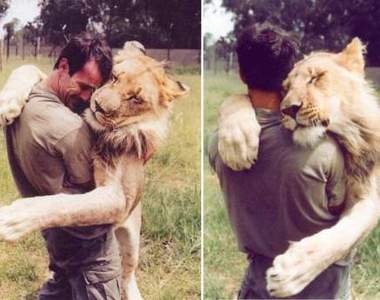 《國際抱貓日》就是今天！勉強特准你快來抱抱朕 (= `ᴥ´)