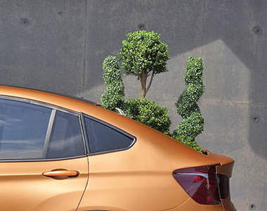 屁屁新概念《BMW Deep Orange 4》怎麼長出樹了呢?