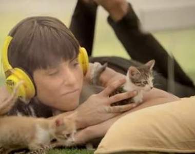 敲可愛紓壓新選擇《小貓療法》讓壓力在肉球間消失無蹤