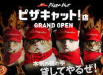 《必勝客貓店員》參上 所以貓店員外送的披薩也是肉球形狀嗎♥ 《必勝客貓店員》參上 所以貓店員外送的披薩也是肉球形狀嗎♥