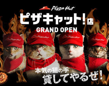 《必勝客貓店員》參上 所以貓店員外送的披薩也是肉球形狀嗎♥
