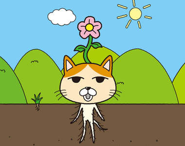 珍種貓發現《Nekkoro》貓的牠竟然生根了...Σ(Д゚;/)/