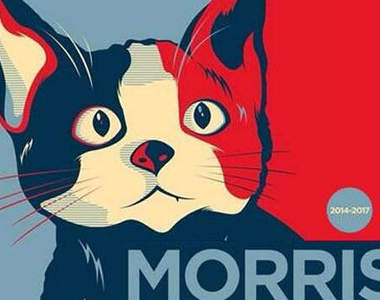 《動物也能當公務員》派隻貓出來選市長都贏(?)