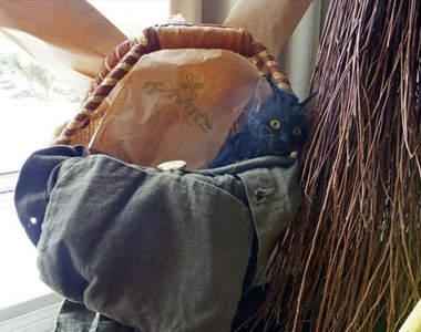 《魔女宅急便》專屬痛客房開放入住 據說琪琪躲在房內某個角落？