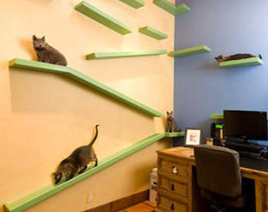 超棒《貓咪裝潢家》趴吐  這樣18隻喵喵就不會打架了XD