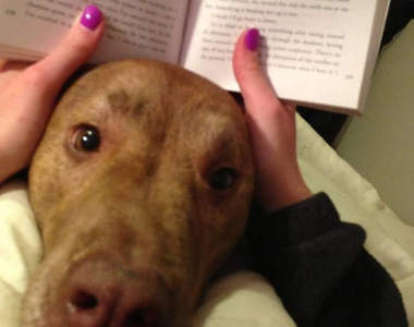 《黏TT的寵物寶貝》人家只是捨不得離開你嘛(´,,•ω•,,)♥