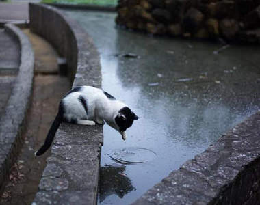 推民曬《今年拍到最棒的攝影作品》你也有想分享的那一張嗎？