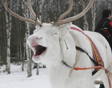 全球最安全國家TOP 10　你收集幾個旅遊景點啦？