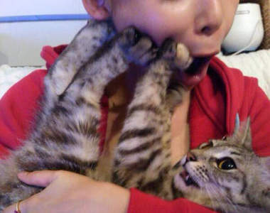 《拒絕親吻的貓》喵說不要就是不要～～（推）