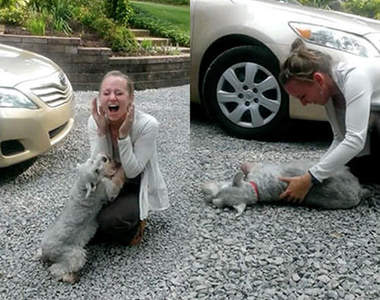 精選《10個感動重逢》狗狗和主人相擁那一刻超感人❤