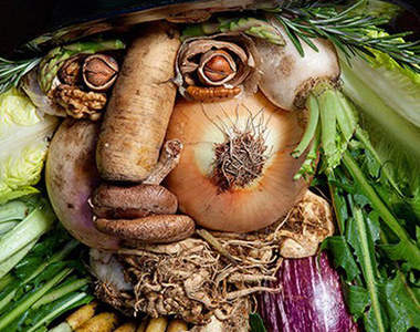 詭異《蔬果肖像》看起來就像是蔬菜的巨人(誤)