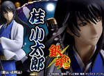 「銀魂」《桂小太郎模型》再販~不是 GAY 是桂阿~~ 「銀魂」《桂小太郎模型》再販~不是 GAY 是桂阿~~