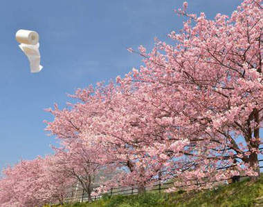 廁所衛生紙寫真集　欣賞美景的同時怎麼有東西在飛？