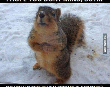 春天到來的各種隱藏徵兆　雖然感覺還是像冬天．．．