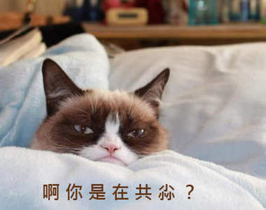 《最爆笑15句夢話》你們到底都夢到什麼啊...