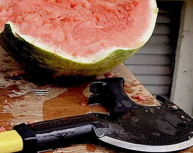 10大殺殭屍首選武器　想要在末日生存就靠這些惹