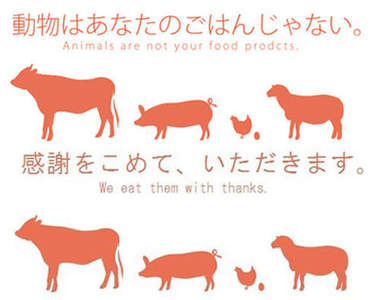 Twitter瘋《動物不是你XX》改版好好笑