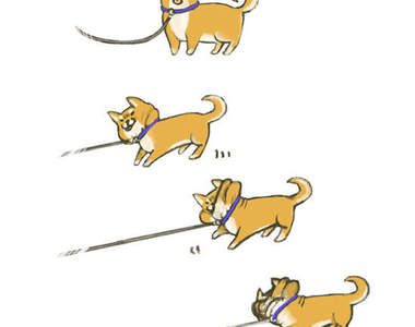 治癒畫家《のじゃ》網路流傳的固執柴犬圖 就是他畫的(♡˙︶˙♡)