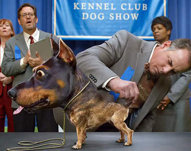 2014年《超級盃車車廣告》這到底是在演哪齣呢?