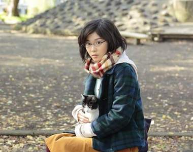 《為什麼貓都叫不來》感動十萬人的貓咪物語改編電影！