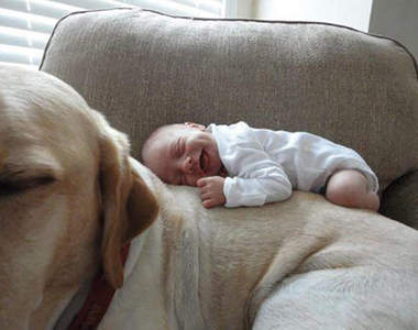 《單純的喜悅》祝大家新的一年開開心心～