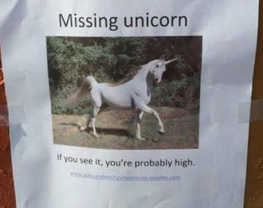 《搞笑尋人尋物啟事》請問你有看到我走失的獨角獸嗎？（認真）