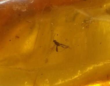 韓網友《珍藏多年的寶物》這些是穿越時空拿的嗎XD