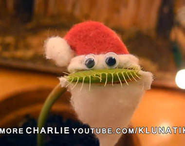 《不要欺負捕蠅草》原來吃了口香糖還會吹泡泡啊...（咦？）