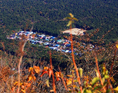 精進湖民宿村　富士山樹海當中安靜的一處世外桃源