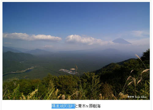 精進湖民宿村富士山樹海當中安靜的一處世外桃源