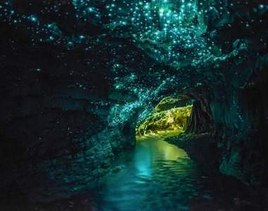 紐西蘭《螢火蟲洞》令人目眩神迷的地下星空