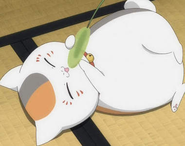 貓咪老師《書店裝飾大賽》美術拿100分才有資格當店員？