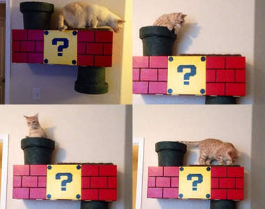 《任天堂跳台》快讓你家貓貓變成喵利歐(躍)