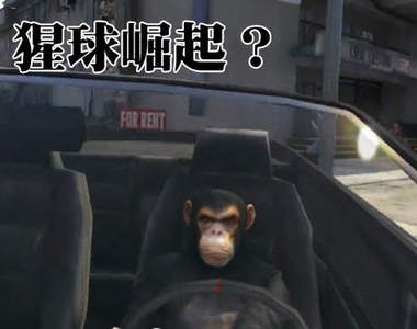 《俠盜獵車手5》野生動物模組　官方不考慮出個動物園DLC嗎？