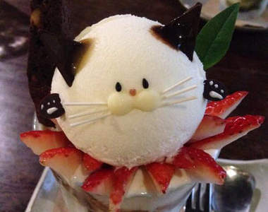 可愛《貓咪聖代》連背面都萌到你下不了湯匙啊啊啊♥