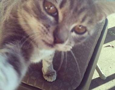 不可不知的《自拍訣竅》掌握這些小重點直接晉級自拍達人