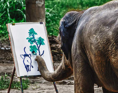 《大象畫畫》動物們是天生藝術家