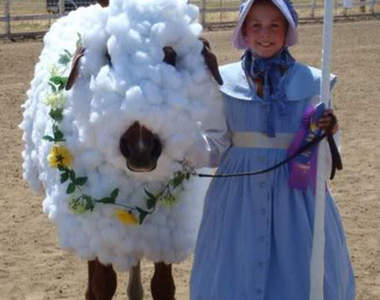 《馬的Cosplay》你們有沒有想過馬的感受啊XD