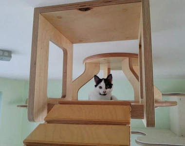 超棒《貓咪裝潢家》這根本就是貓咪的天堂(◕ܫ◕)