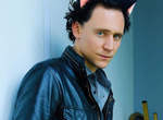 抖森貓《Tom Hiddleston》萌到不可理喻 抖森貓《Tom Hiddleston》萌到不可理喻