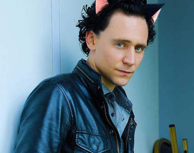 抖森貓《Tom Hiddleston》萌到不可理喻