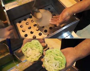 日本魔法高麗菜　接下來就是見證奇蹟的時刻