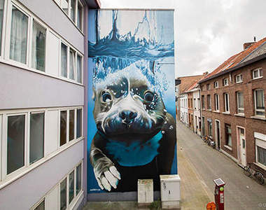 讓人融化的《動物街頭壁畫》好想天天走在條街上(⁄ ⁄•⁄ω⁄•⁄ ⁄)