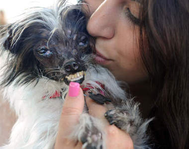 《世界狗狗選醜大賽 2014》今年最醜但也最惹人愛的狗狗是～？