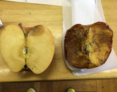 不可思議實驗《對物品連續罵一個月跟讚美》的結果會是...？