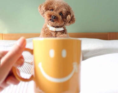 錯位《狗飲料》看我都把你們喝掉 ♥